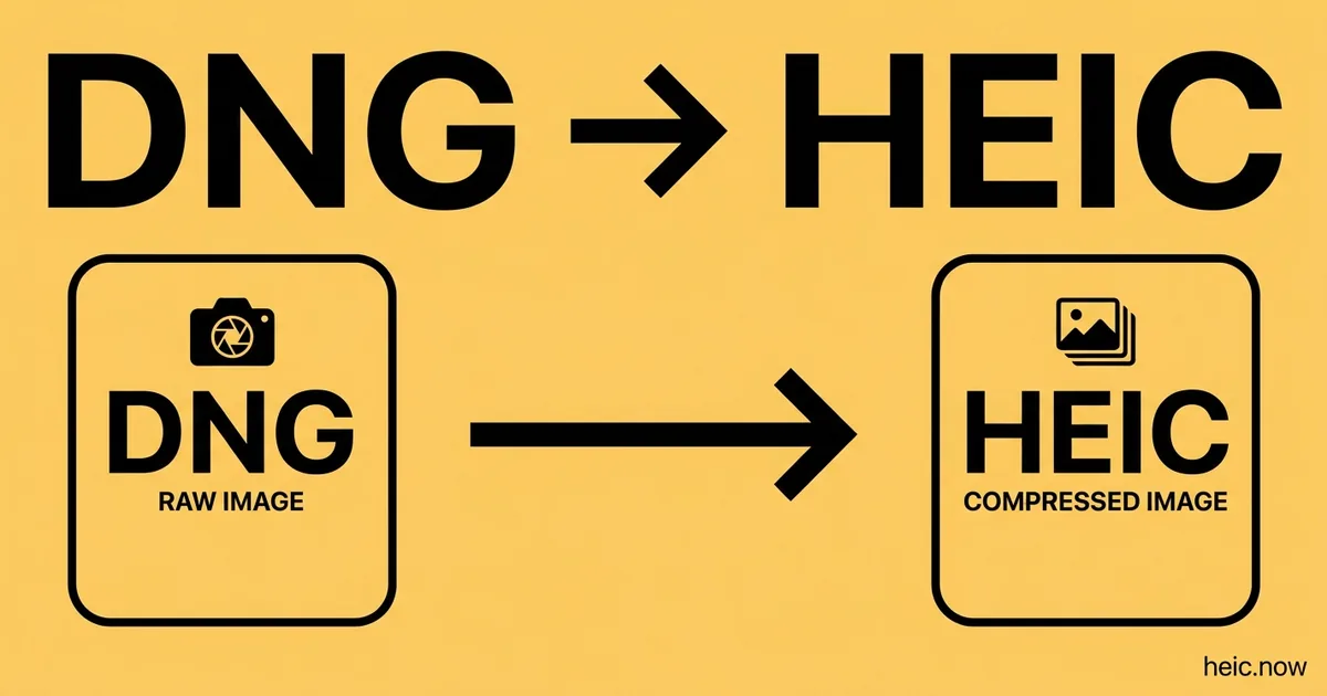 Convert DNG to HEIC Online Free