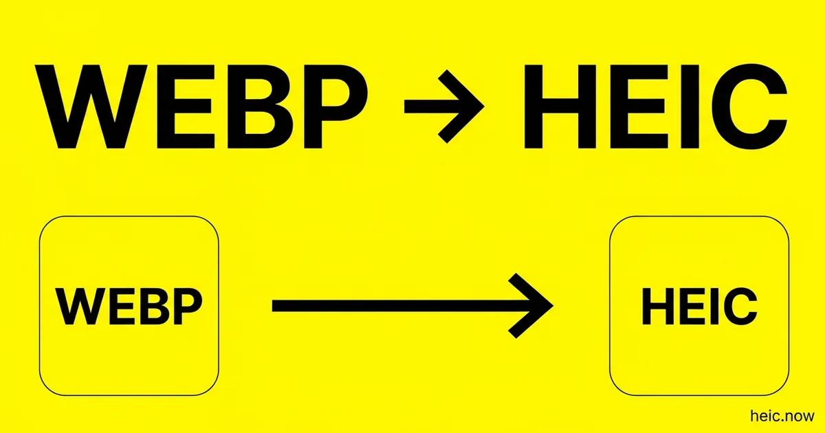 Convert WebP to HEIC Online Free